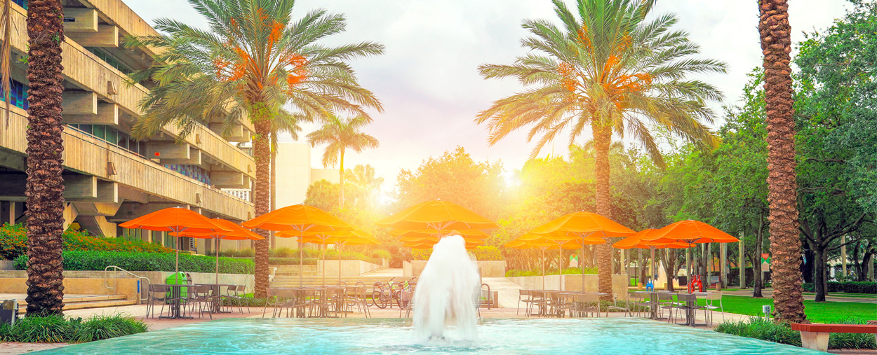 fountain with sunset